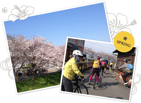 春のビューロッジ