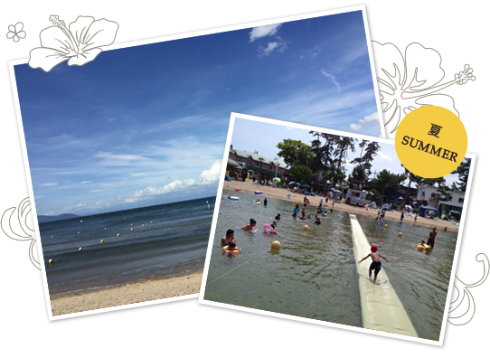 夏のビューロッジ