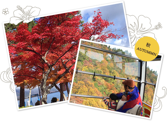 秋のビューロッジ