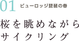 桜を眺めながらサイクリング